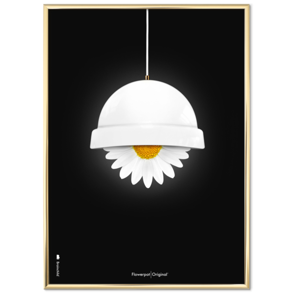 Plakat med Flowerpot, Hvid Klassisk - 50x70 cm