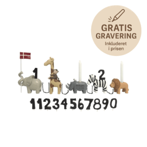 Safari Fødselsdagstog